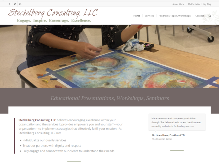 Steckelberg Consulting LLC Website