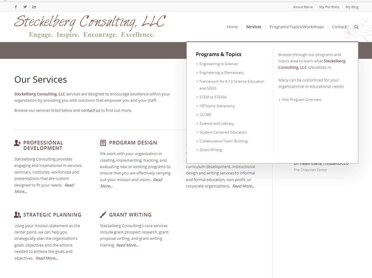 Steckelberg Consulting LLC Website